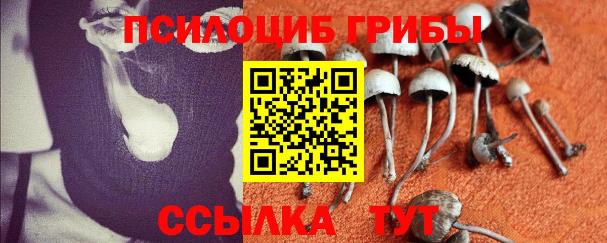 Галлюциногенные грибы прущие грибы Алексеевка